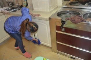 上海新聞,上海熱點,政務,金融,科創