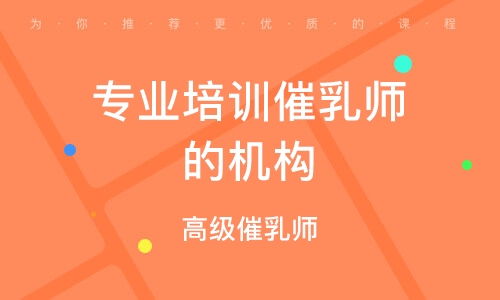 成都家政服務師 保姆 培訓