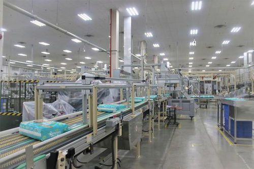 湖北高新技術(shù)產(chǎn)業(yè)與家政服務(wù)創(chuàng)新比翼齊飛，引領(lǐng)區(qū)域高質(zhì)量發(fā)展