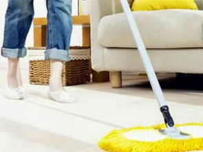 菲式管家家政加盟人氣解析 專業(yè)服務(wù)與市場潛力并存